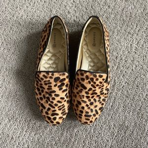 barely used cheetah print starling - birdies